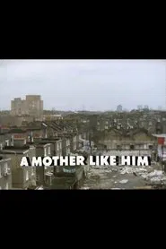 Poster do filme A Mother Like Him