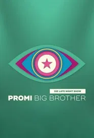 Poster da série Big Brother - Die Late Night Show