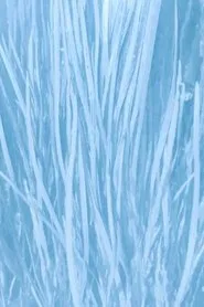Our Watery Selves movie poster