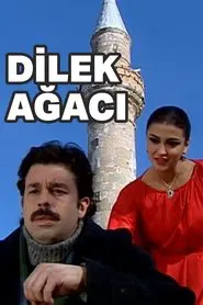 Poster do filme Dilek Ağacı