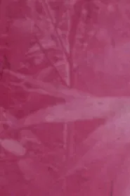 Poster do filme Ornamentals