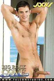 Poster do filme Big Rock Cove