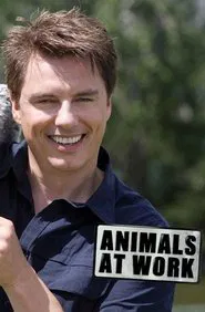 Poster da série Animals at Work
