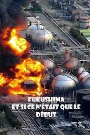 Fukushima: Is Nuclear Power Safe? movie poster