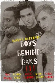 Boys Behind Bars 3 movie poster