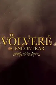 Te Volveré a Encontrar tv show poster