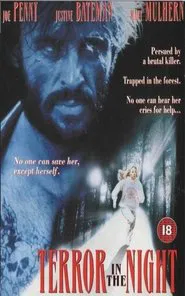 Terror in the Night movie poster
