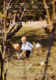 Poster do filme Distrito Floresta