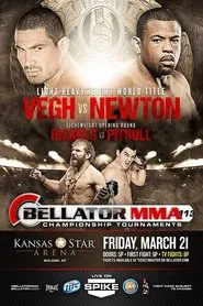 Poster do filme Bellator 113