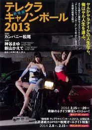 The Sex Cannon Ball Run 2013 movie poster