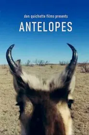 Antelopes movie poster
