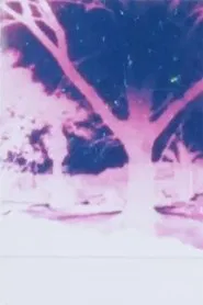 Light Play movie poster