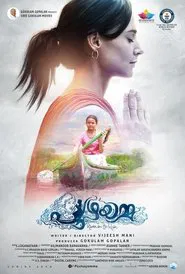 Poster do filme Puzhayamma