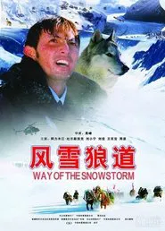 Way of the Snowstorm movie poster
