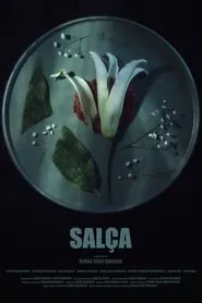 Poster do filme Bitter