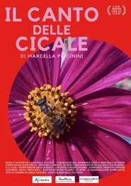 Poster do filme IL CANTO DELLE CICALE