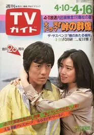 陽のあたる場所 tv show poster