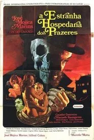 Poster do filme The Strange Hostel of Naked Pleasures