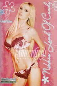 Poster do filme Nikki's Land of Candy