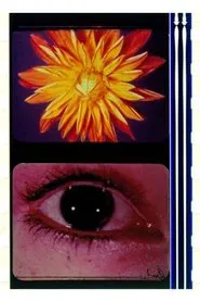 To the Happy Few movie poster