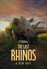 The Last Rhinos: A New Hope movie poster