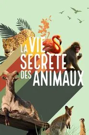 La vie secrète des animaux tv show poster