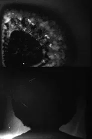 Poster do filme Desaparecer