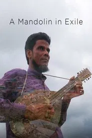 A Mandolin in Exile movie poster