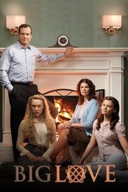 Big Love tv show poster