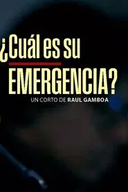 ¿Cuál es su emergencia? movie poster