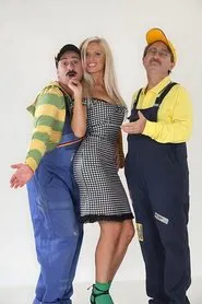 Meseriașii tv show poster