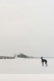 The Spring movie poster