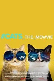 Poster do filme Miau Sucesso