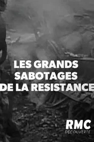 Poster do filme Les Grands sabotages de la résistance