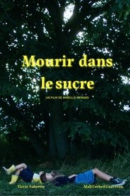 Mourir dans le sucre movie poster