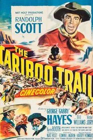 Poster do filme Terra Virgem