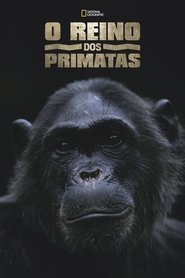 Poster do filme O Reino dos Primatas