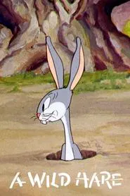Poster do filme A Wild Hare