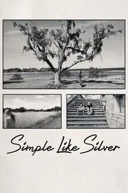 Simple Like Silver movie poster