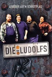 Die Ludolfs – 4 Brüder auf'm Schrottplatz tv show poster