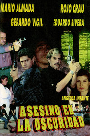 Asesino En La Oscuridad movie poster