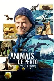 Poster da série Animais de Perto com Bertie Gregory