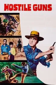 Poster do filme Hostile Guns