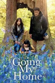 Going My Home tv show poster