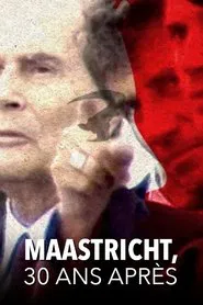 Maastricht, 30 ans après movie poster