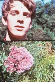 Dan Potter movie poster