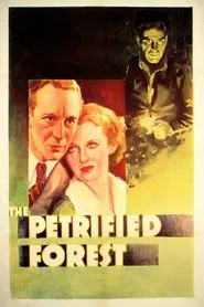 Poster do filme A Floresta Petrificada