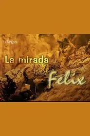 Poster do filme La mirada de Félix