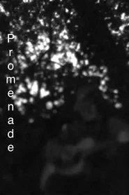 Promenade movie poster