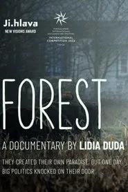 Poster do filme Forest